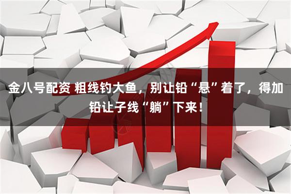 金八号配资 粗线钓大鱼，别让铅“悬”着了，得加铅让子线“躺”下来！