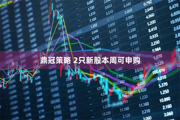 鼎冠策略 2只新股本周可申购
