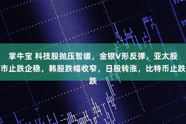 掌牛宝 科技股抛压暂缓，金银V形反弹，亚太股市止跌企稳，韩股跌幅收窄，日股转涨，比特币止跌