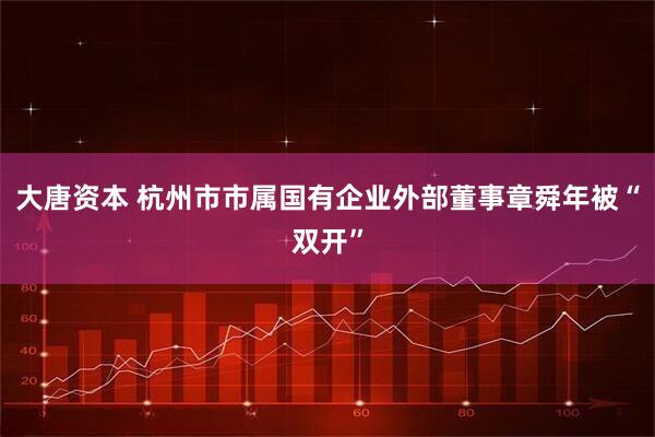 大唐资本 杭州市市属国有企业外部董事章舜年被“双开”