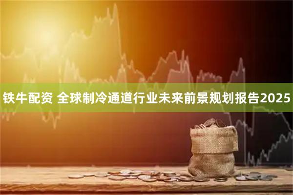铁牛配资 全球制冷通道行业未来前景规划报告2025
